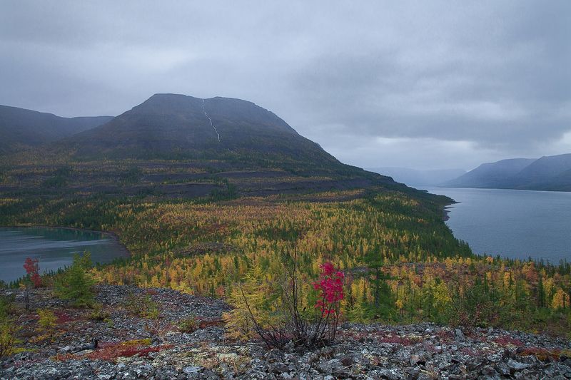 красноярский край, таймыр, плато путорана, озеро лама, осень. Путораны. Между двух озер.photo preview