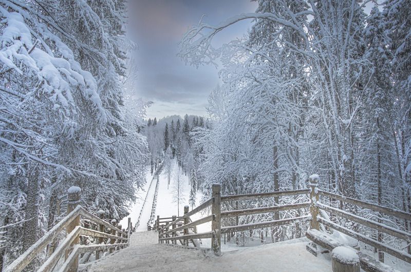 Малые Корелыphoto preview