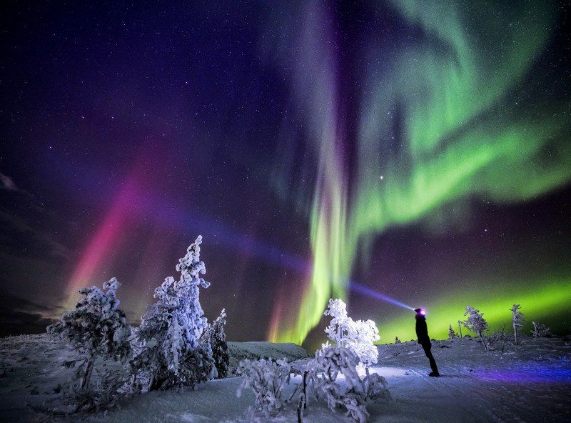 аврора, пейзаж, ночь, север, сияние Под крылом Аврорыphoto preview