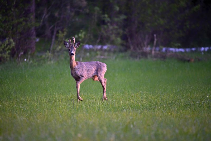 Не ждалиphoto preview