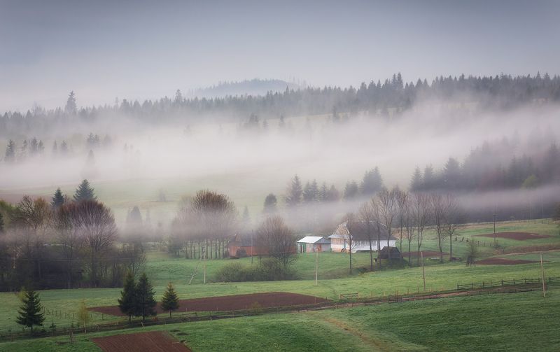 Carpatian, mountains, morning, spring Карпаты просыпаютсяphoto preview