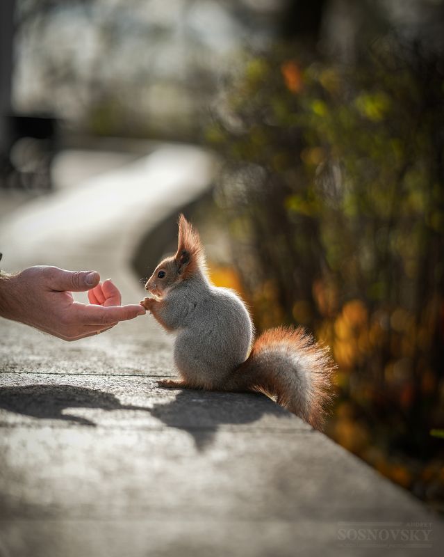 Давай дружитьphoto preview