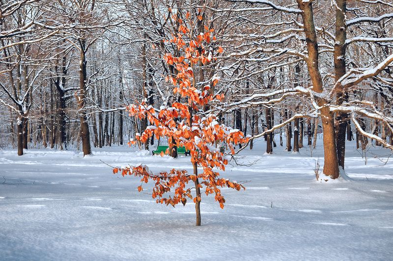 चेतदपि गमिष्यामिphoto preview