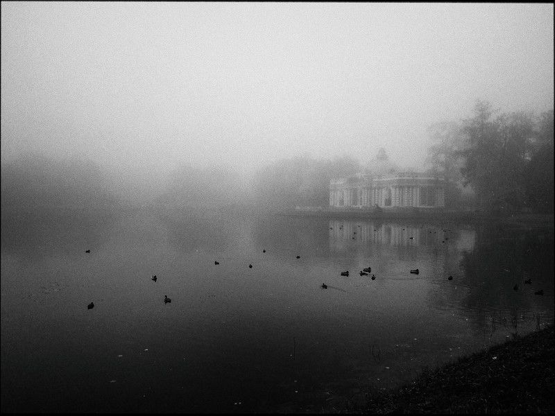 пейзаж, город, санкт петербург, чб, черно белое, репортаж, озеро, парк, туман, осень Осень....photo preview