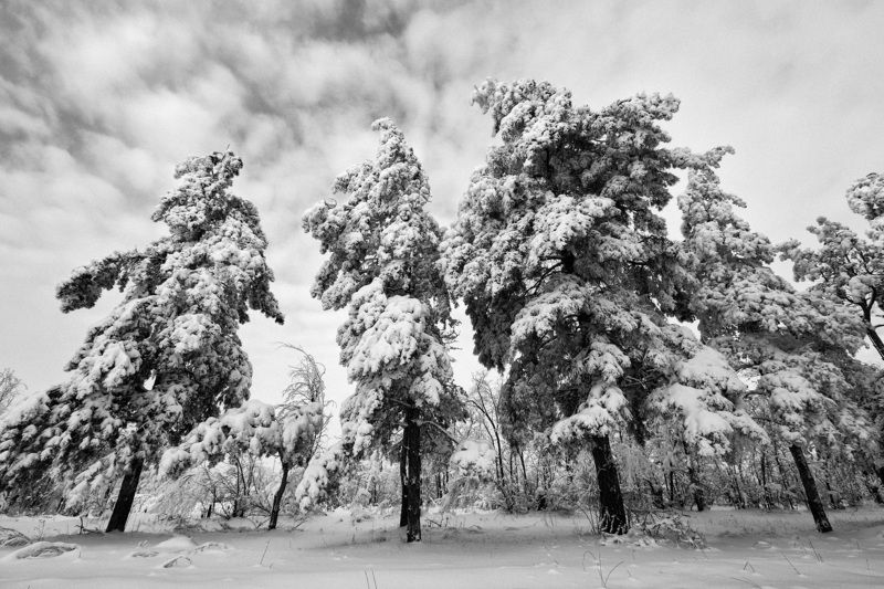 пейзаж Зимушка-зимаphoto preview