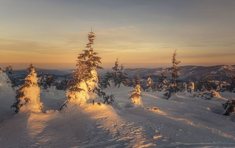 O porankuphoto preview