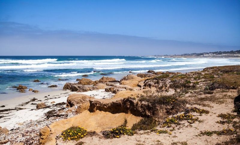 Pebble beach Pebble beachphoto preview