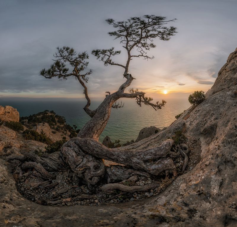 крым, новый свет, космос, январь, закат Закат на Космосеphoto preview