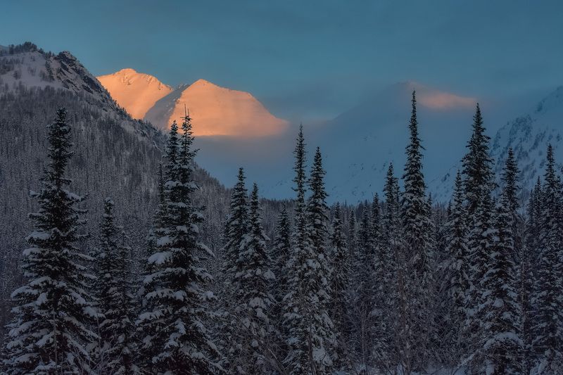 россия, хакасия, кузнецкий алатау, зима, мороз, утро, ели, горы Зимнее утро на Кузнецком Алатауphoto preview