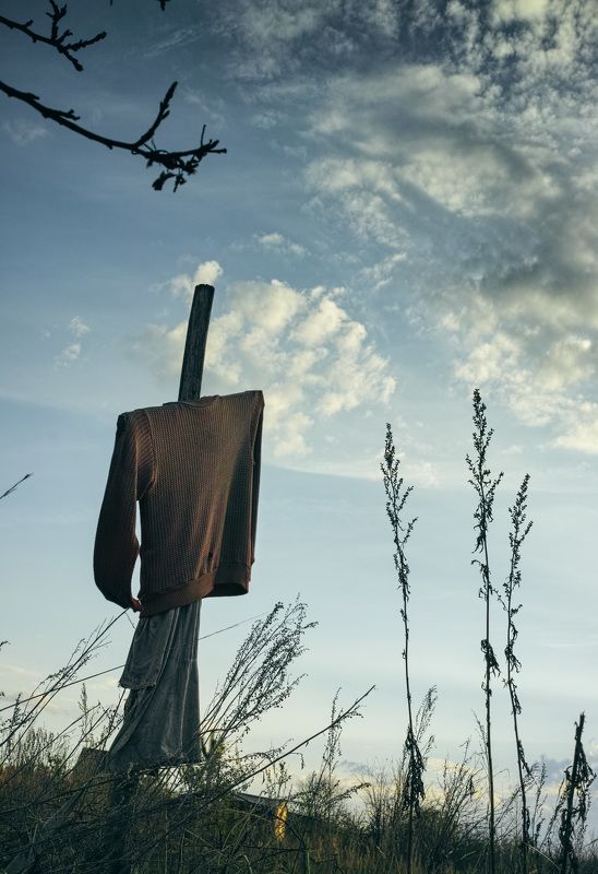 Чучело фото превью