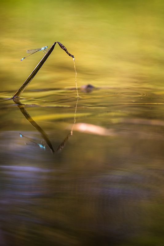 Ловись рыбкаphoto preview