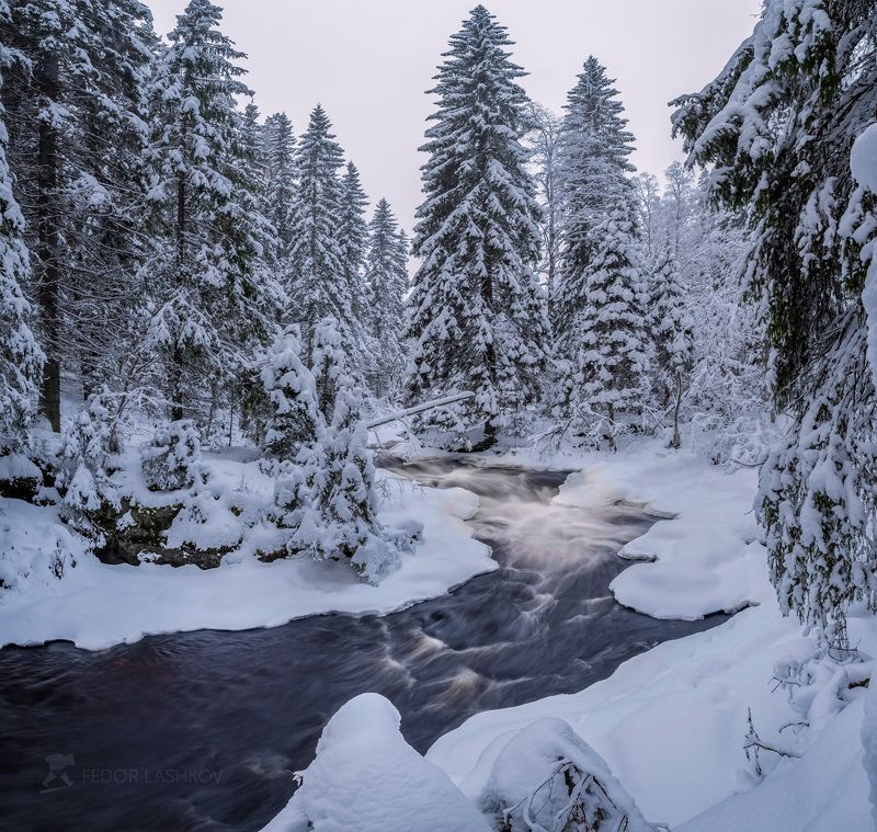 зима, зимнее, снег, снежное, в снегу, ладожское озеро, карелия, сосна, ели, деревья, лес, новогоднее, река, речное, течение, берег, островки, вода, Лесная рекаphoto preview