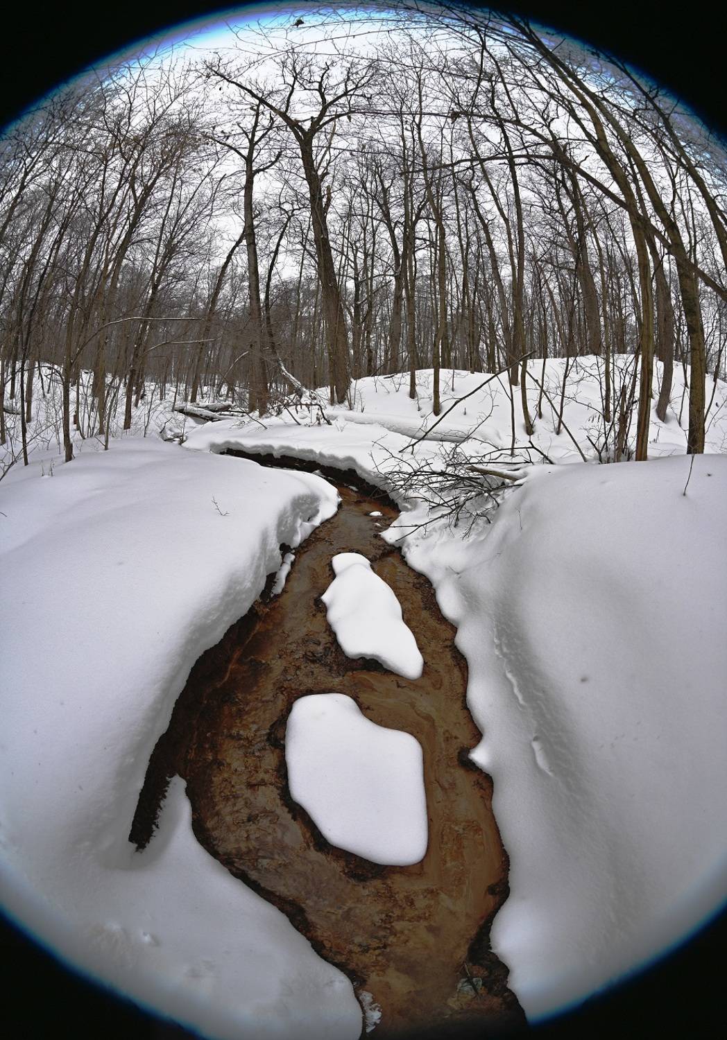 , Меднов Влад