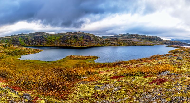 Краски осенней тундрыphoto preview