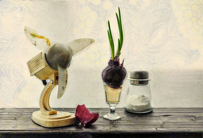 И в весну уже слегка верится!photo preview