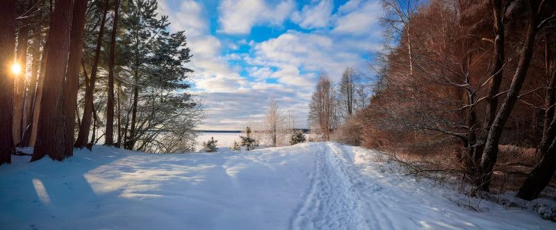 зима, озеро, деревья, беларусь, тропинка, Зимняя Нарочьphoto preview