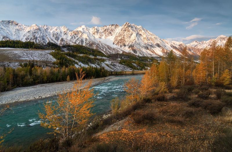 алтай, горный алтай, пейзажи алтая, кош-агачский район, горная река, золотая осень, горы, осенний алтай, горная тайга Ветреное утроphoto preview