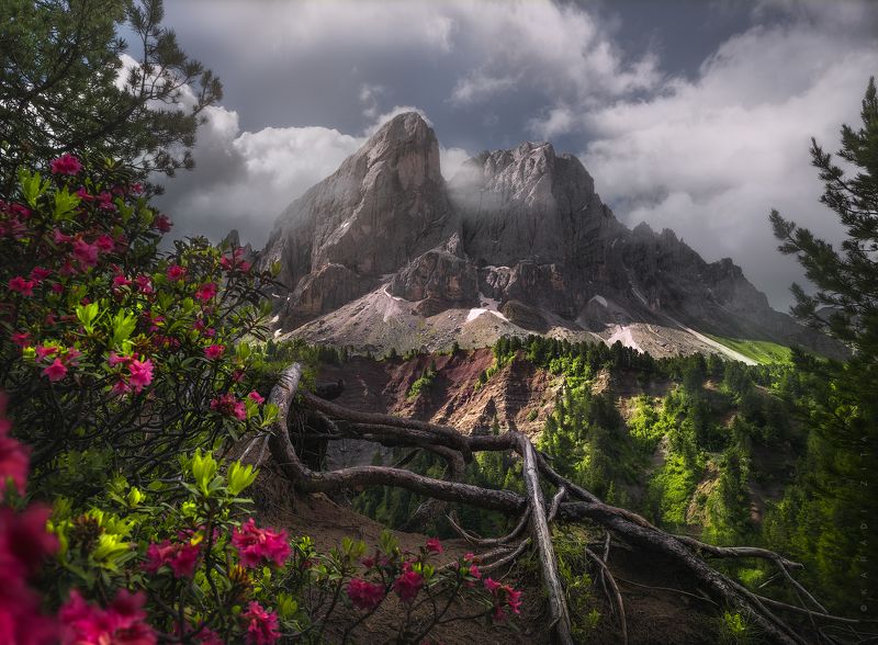 dolomiti, dolomites, sunrise, landscape, sky, sun, mountains, clouds, trees, italy, calm, morning Roots of life_2photo preview