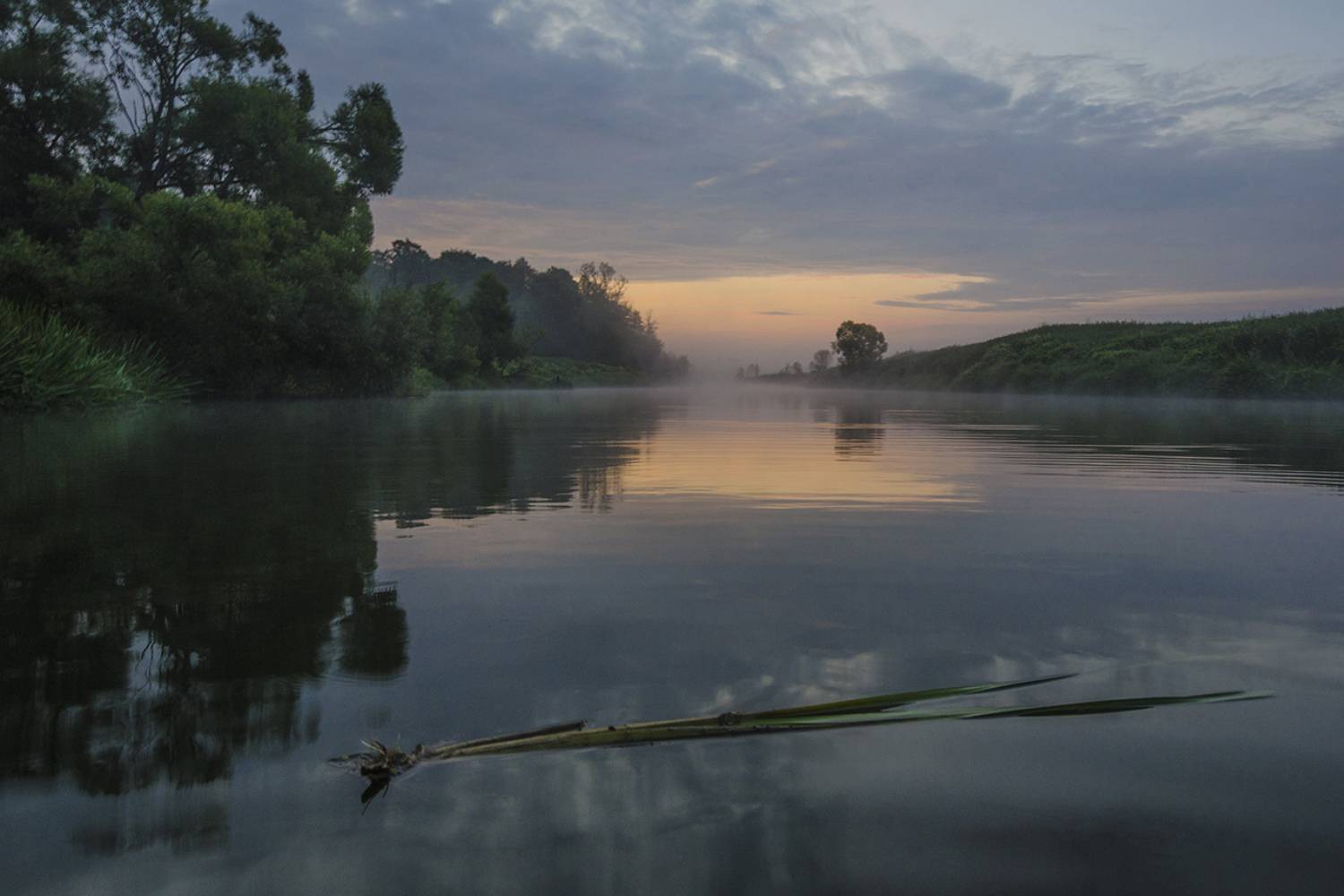 утро, заря, рассвет, якшино, река, упа, Михаил Агеев