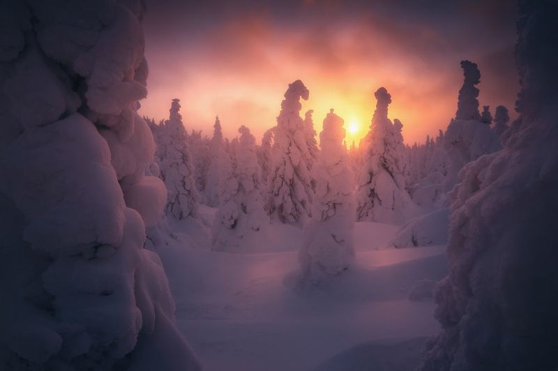 Рождественское утро в национальном парке Таганайphoto preview