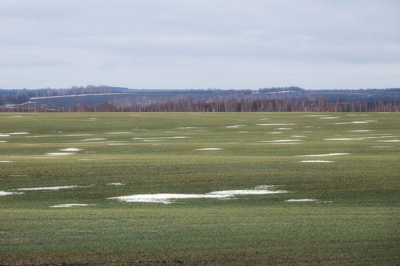 природа, пейзаж, зима, поля, теплая зима, Тульская область Бесснежная зима. Тульская областьphoto preview