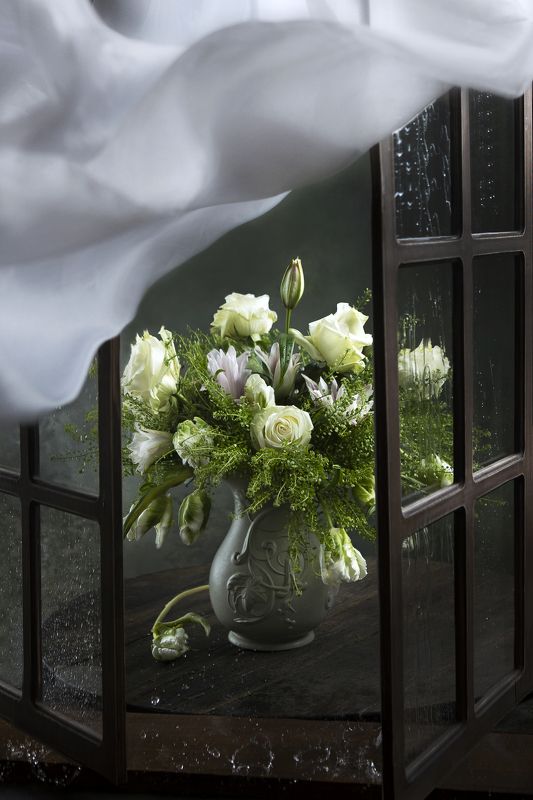 Порыв ветра, принёсший дождьphoto preview