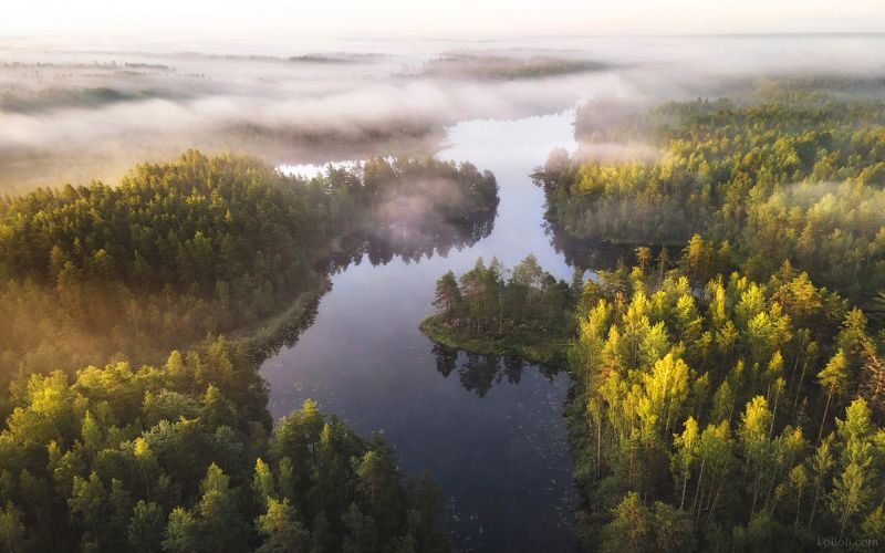 ленинградская область, лес, озера, туман, скалы, сова, лето, осень, зима Фотографии из разных мест Ленинградской области, 2024-2025photo preview