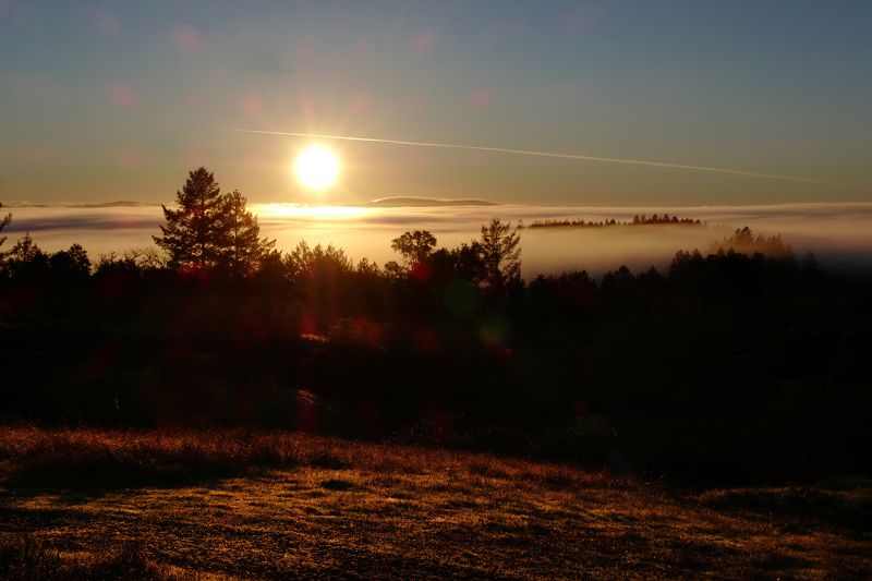 perspective WINTER IN  SONOMAphoto preview