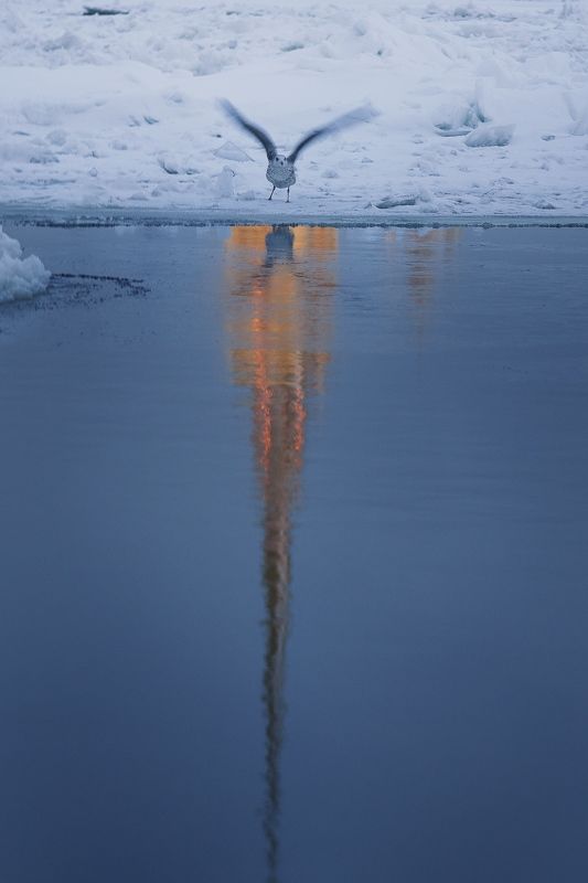 Взлетаем…photo preview