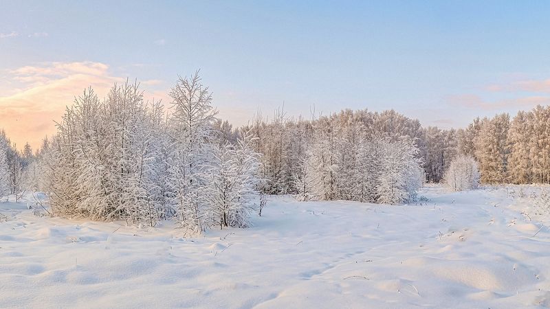 зима снегопад  облака лес Нежная и снежная зимаphoto preview