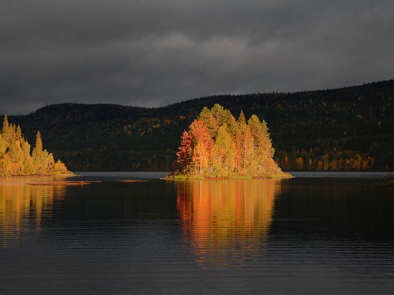 карелия, паанаярви, осень. Хмурое утро. Осветило осень.photo preview
