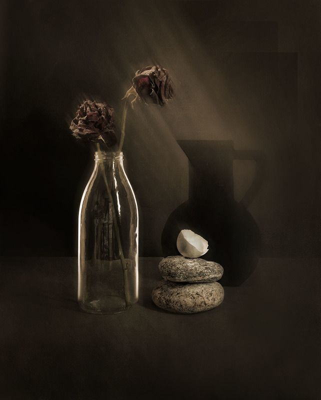 очень неживая природа фото превью