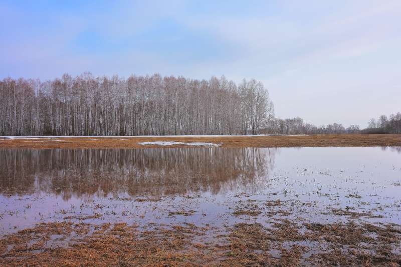 Полминуты апреляphoto preview