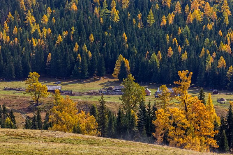 алтай. ***photo preview