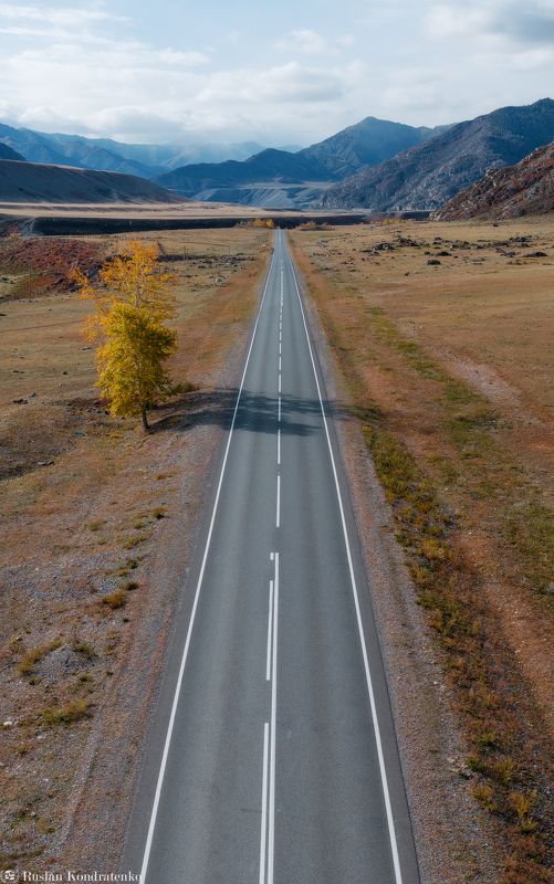 алтай, осень, горный алтай, степь Осенние краски Алтаяphoto preview