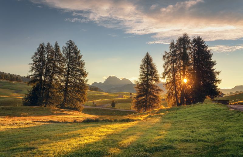 Alpe di Siusi, Dolomites, South Tyrol, mountains Тепло горного утраphoto preview