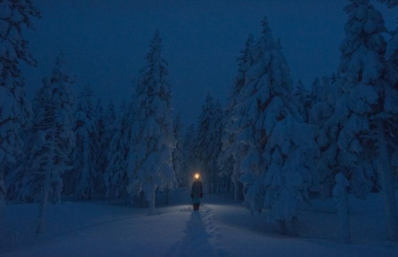 Ночная метельphoto preview