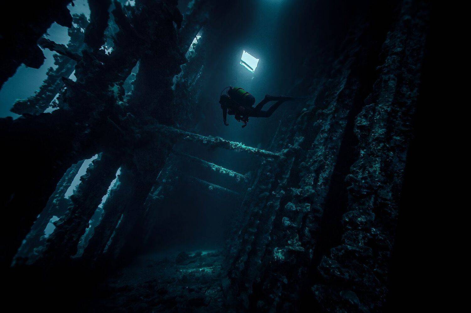 дайвинг, Красное море,, Дмитрий