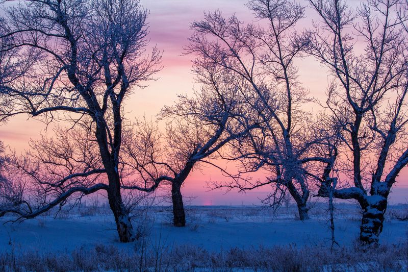 Закатная графикаphoto preview