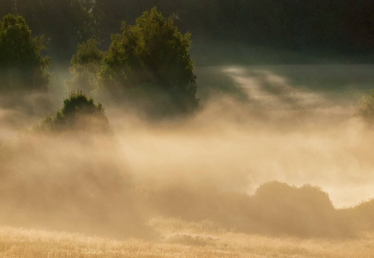 Про летний свет.... Автор: Владимир Перепечаев , Владимир Перепечаев