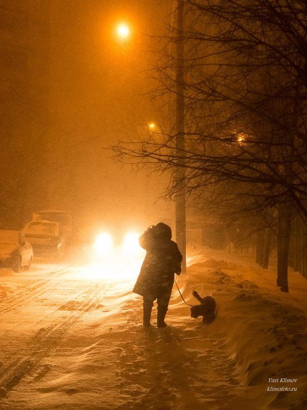 В любую погоду.photo preview