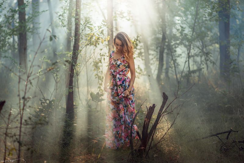 Туманным днёмphoto preview