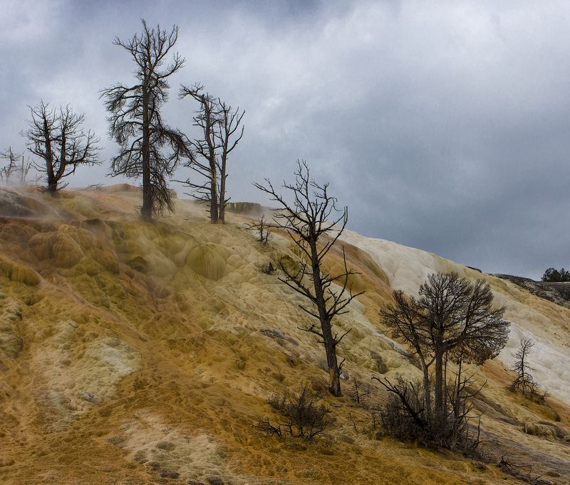 yellowstone, hot springs, mamoth hot springs Смертоносные источникиphoto preview