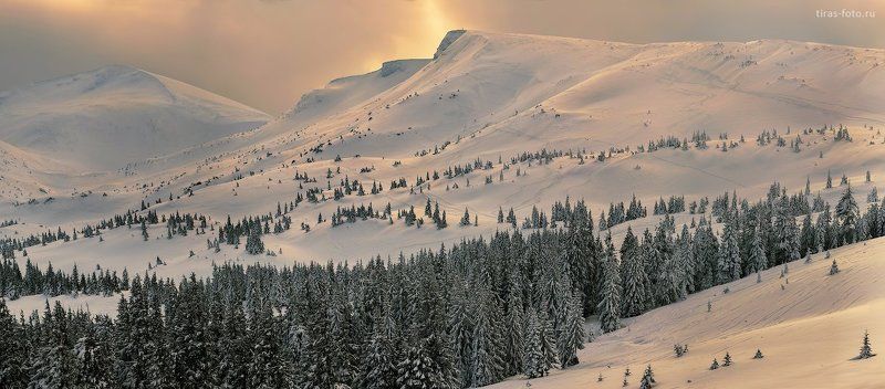 Карпаты, горы, зима, закат, Драгобрат, снег Серебро Драгобратаphoto preview