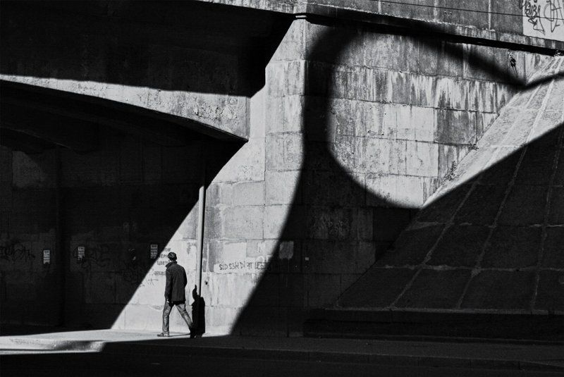 2783647281photo preview