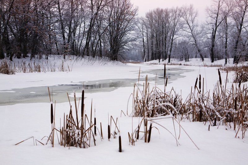 За городомphoto preview