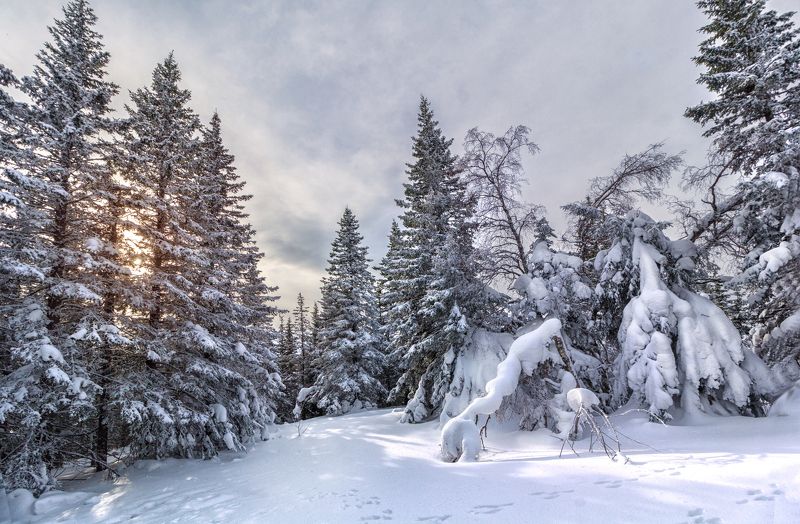 Национальный парк Зюраткульphoto preview