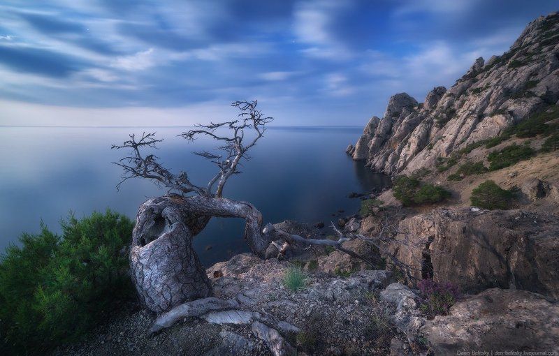 пейзаж, крым, ночь, луна, горы, дерево, скалы, море, облака, небо, ночной пейзаж, новый свет Ночь на Караул-Обаphoto preview