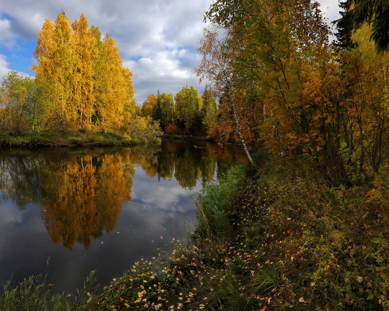 Осень. Золото югорской осениphoto preview