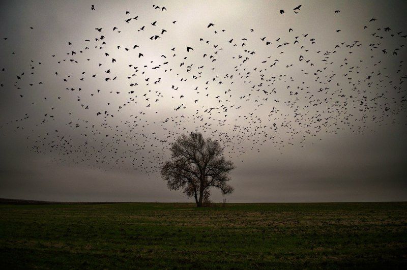 в ожиданииphoto preview